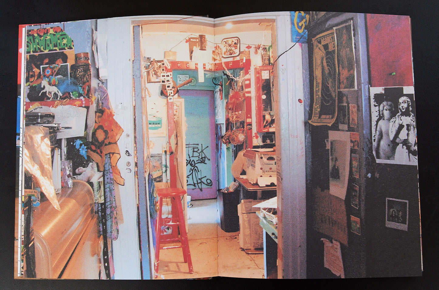 PUNK HOUSE - INTERIORS IN ANARCHY