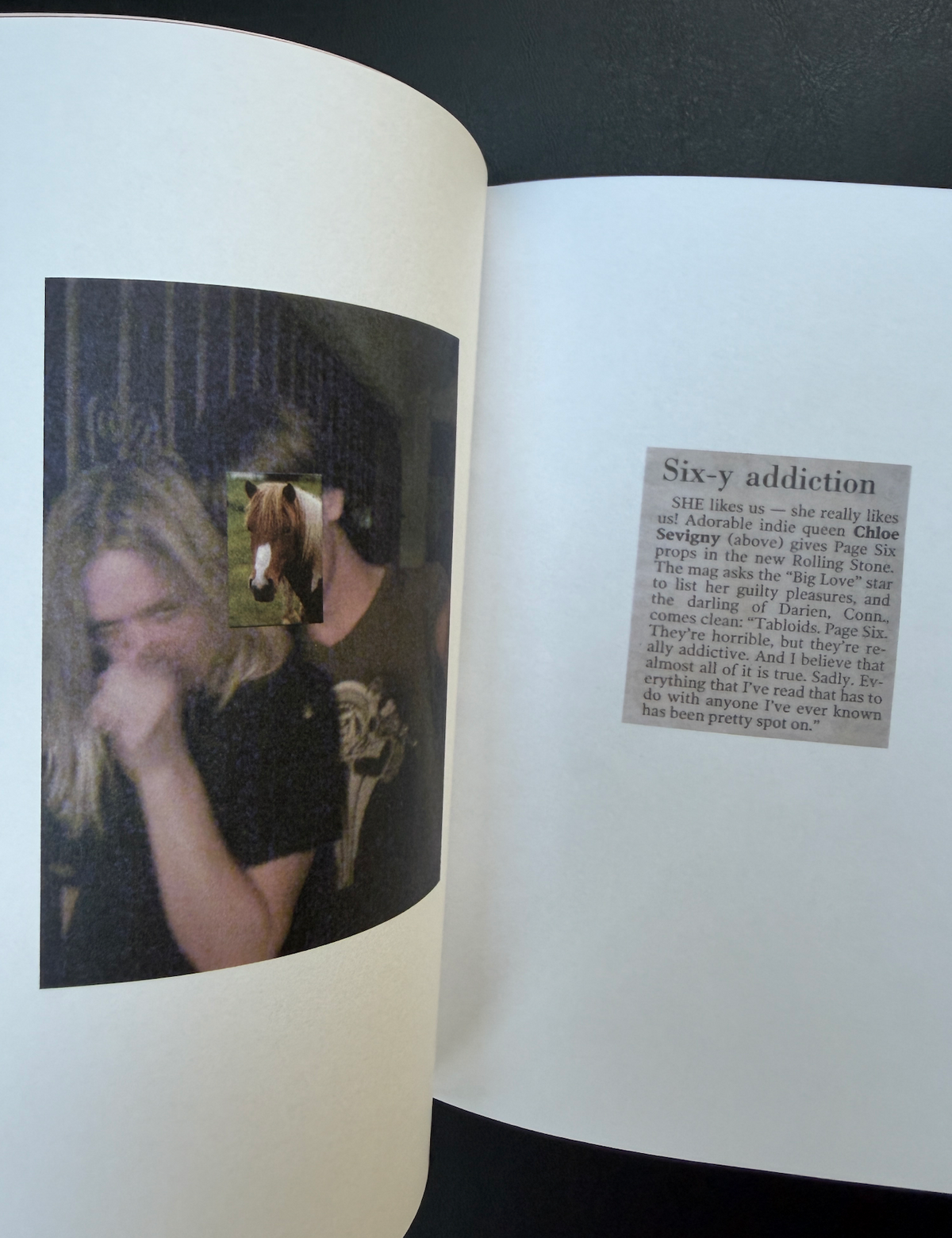 Chloë Sevigny — NO TIME  FOR  LOVE