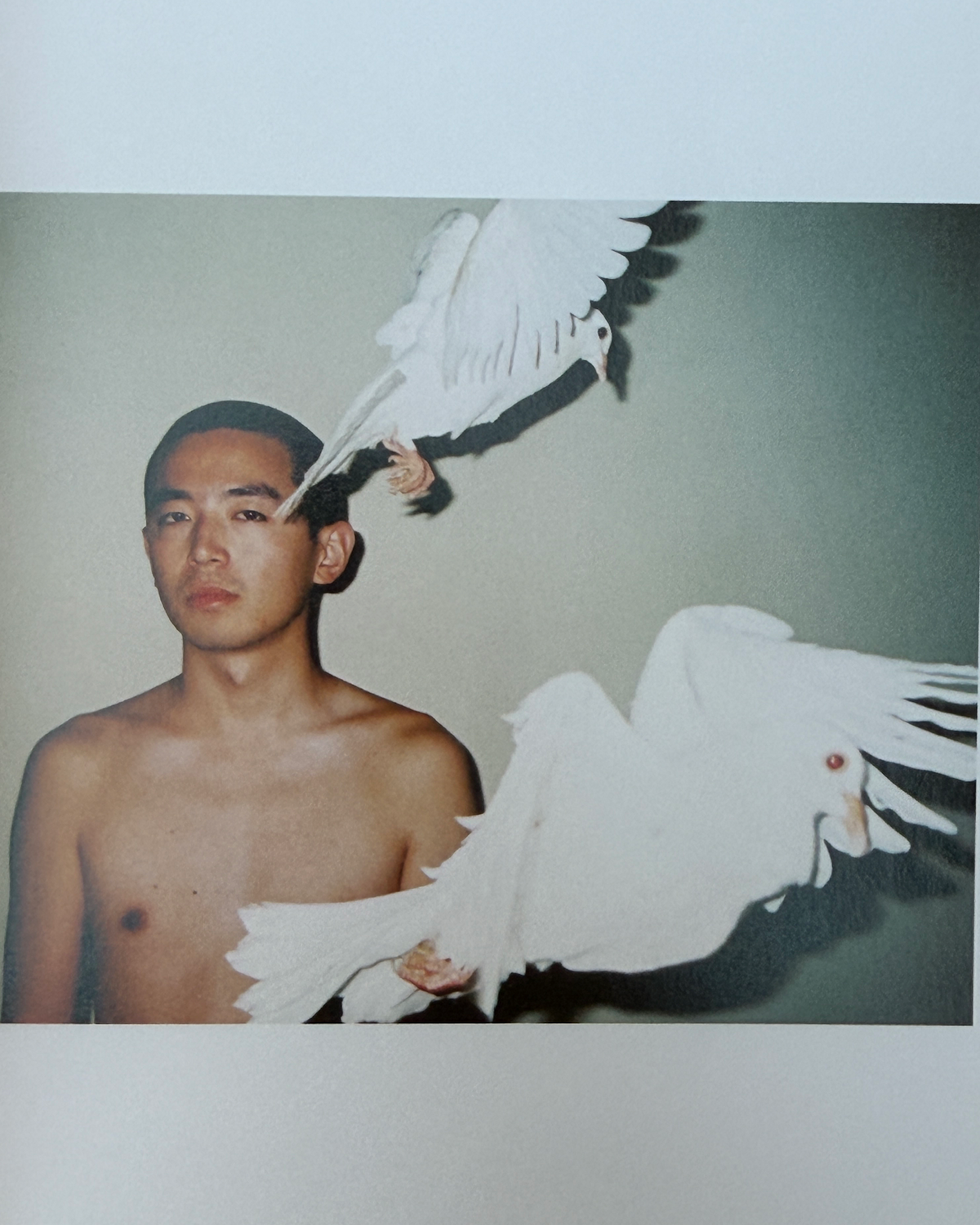 REN HANG — SON AND BITCH