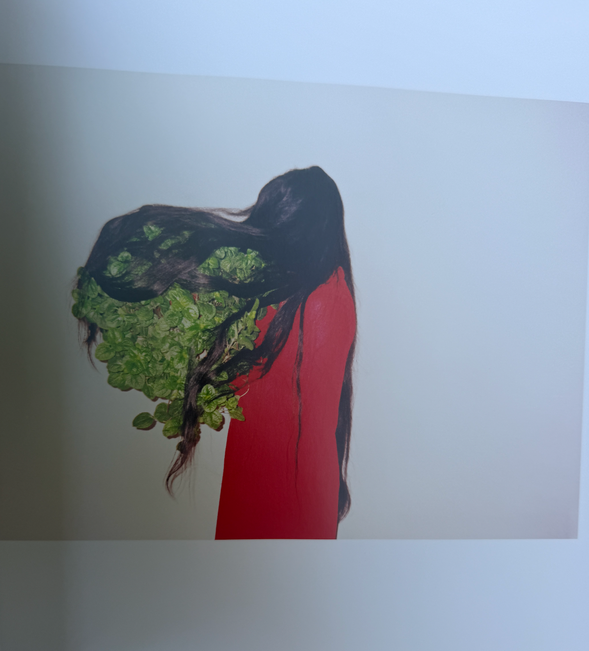 REN HANG — REPUBLIC